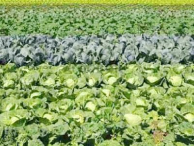 1000791e-b61c-4cbf-8f96-b7e8a0f4a6a0