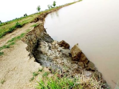 39ca3cd0-a0a7-41aa-a033-df3bf536f902