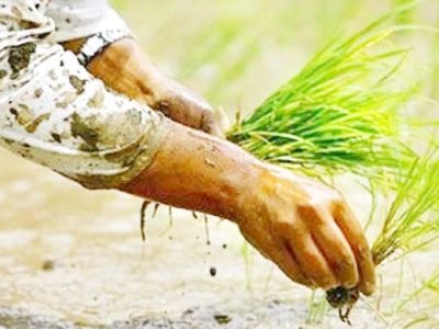 753e5bf5-9346-4447-8e60-97da0545eab9