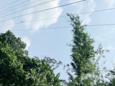 7f7d80ce-d126-427e-9267-403552f4666a