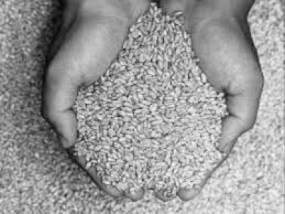 8975a615-7c53-456e-b8c2-55b89d8ed838