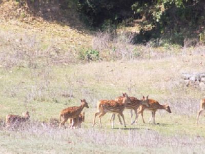 bdef90d0-e082-4bdf-b6b7-70caf36c5780