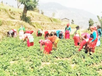 c21dd591-1f03-4594-b7a9-f7fabce012a5