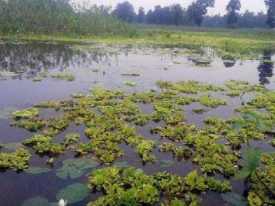 tal-lake_oZWcbuGb5H_0